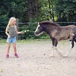 Familienbauernhof Samerhof Apartamento *