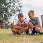 Familienbauernhof Samerhof Apartamento Pfarrwerfen