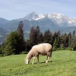 Familienbauernhof Samerhof * Pfarrwerfen