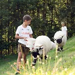 Familienbauernhof Samerhof Apartamento Pfarrwerfen