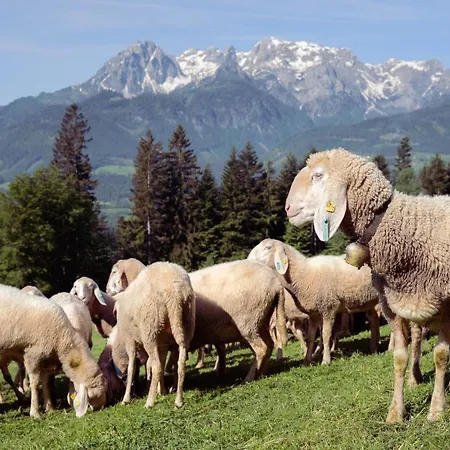 Familienbauernhof Samerhof Apartment *
