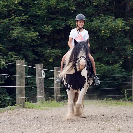 Familienbauernhof Samerhof Apartament Pfarrwerfen