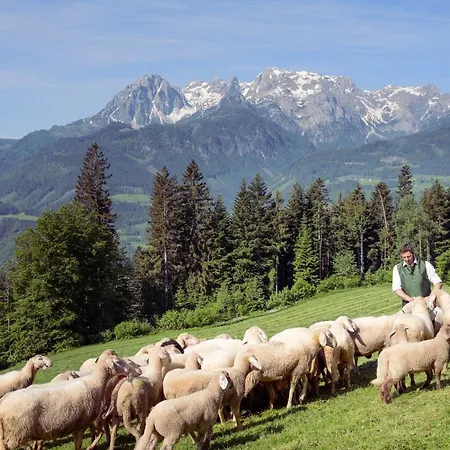 Apartment Familienbauernhof Samerhof Pfarrwerfen