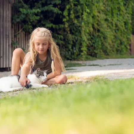 Familienbauernhof Samerhof Pfarrwerfen