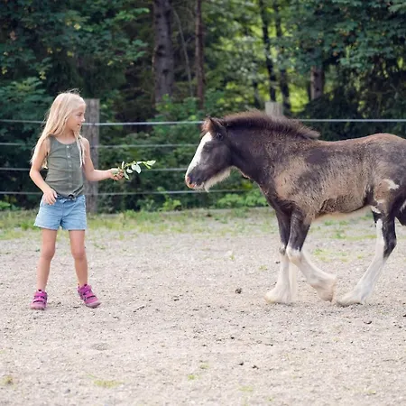 Familienbauernhof Samerhof Apartment *