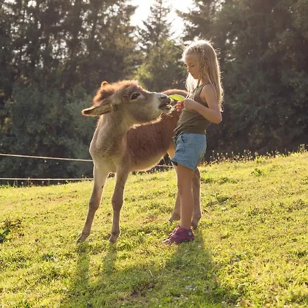 Familienbauernhof Samerhof Apartment Pfarrwerfen