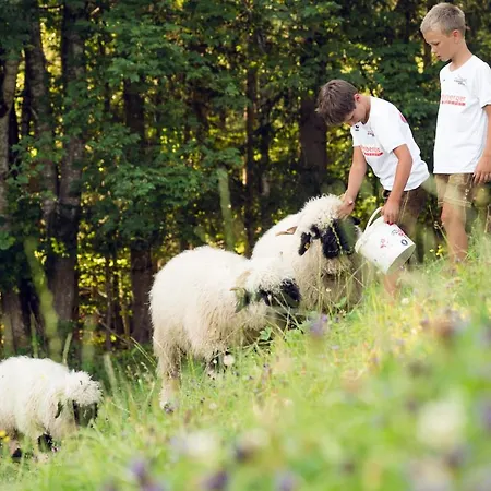 Familienbauernhof Samerhof Pfarrwerfen