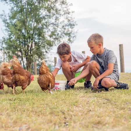 Familienbauernhof Samerhof *