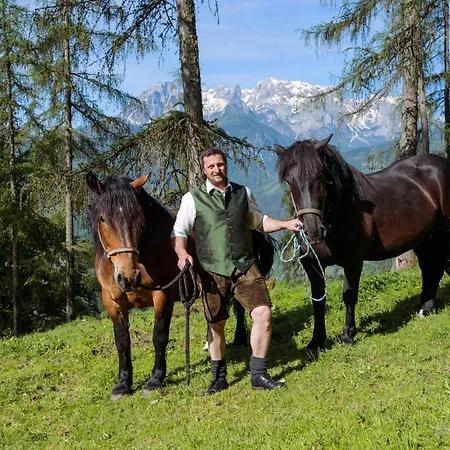 Familienbauernhof Samerhof Apartament Pfarrwerfen