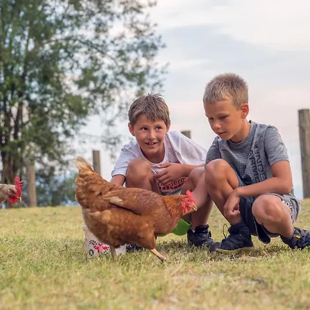 Familienbauernhof Samerhof Apartment Pfarrwerfen