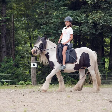 Familienbauernhof Samerhof * بفارويرفين