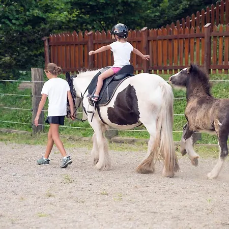 Familienbauernhof Samerhof