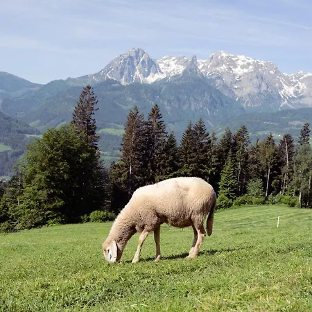 Familienbauernhof Samerhof * Pfarrwerfen