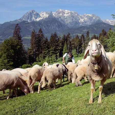 Apartmán Familienbauernhof Samerhof *