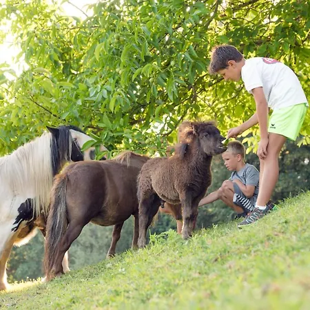Familienbauernhof Samerhof بفارويرفين