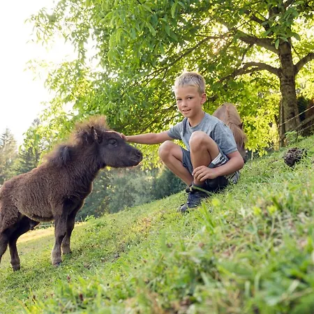 شقة Familienbauernhof Samerhof