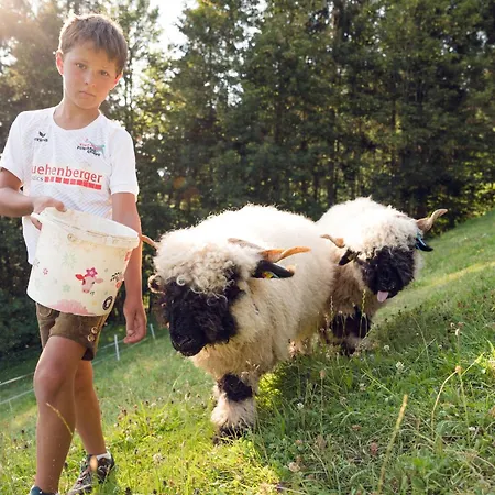 Familienbauernhof Samerhof *