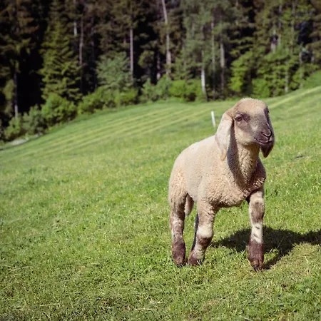 Apartment Familienbauernhof Samerhof