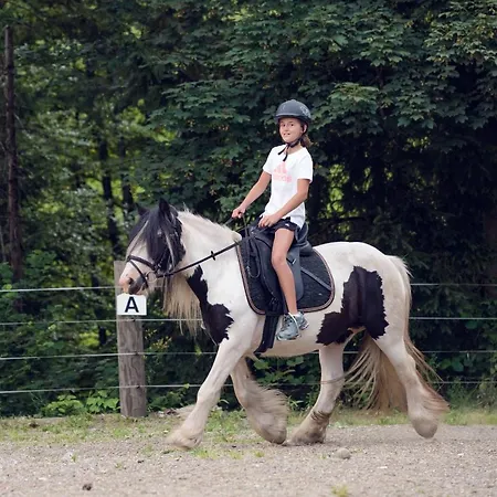 Familienbauernhof Samerhof Apartment *