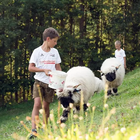 Familienbauernhof Samerhof Apartment Pfarrwerfen
