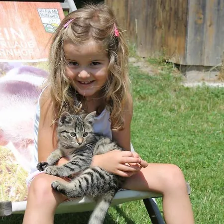 Familienbauernhof Samerhof