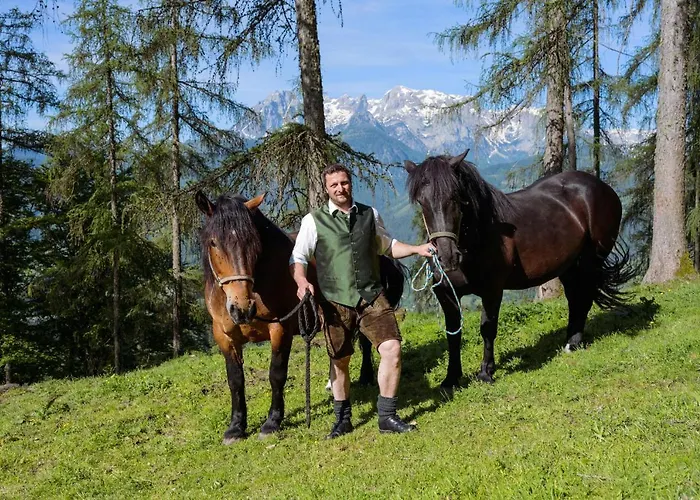 Familienbauernhof Samerhof Apartman Pfarrwerfen