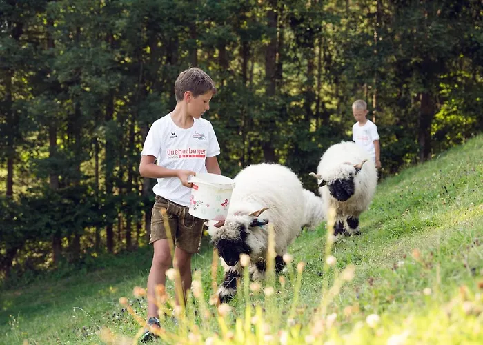 Familienbauernhof Samerhof Apartman Pfarrwerfen
